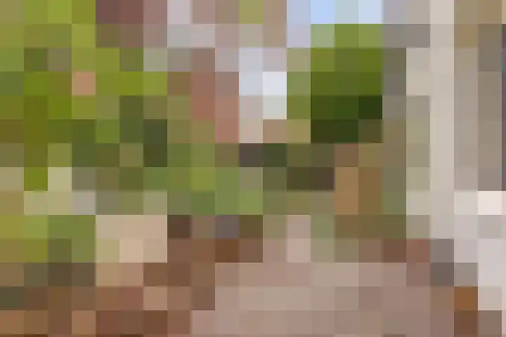 Koestraat 6 Vianen thumbnail 45
