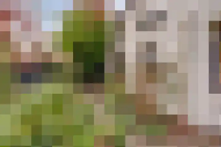 Koestraat 6 Vianen thumbnail 47