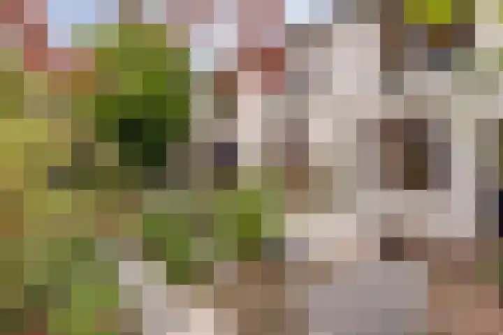 Koestraat 6 Vianen thumbnail 48