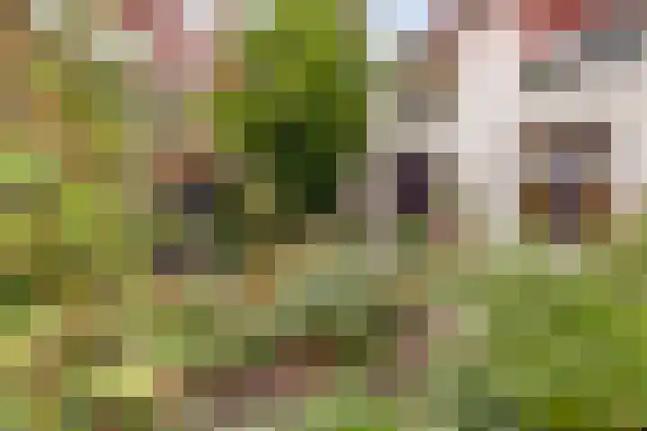 Koestraat 6 Vianen thumbnail 49