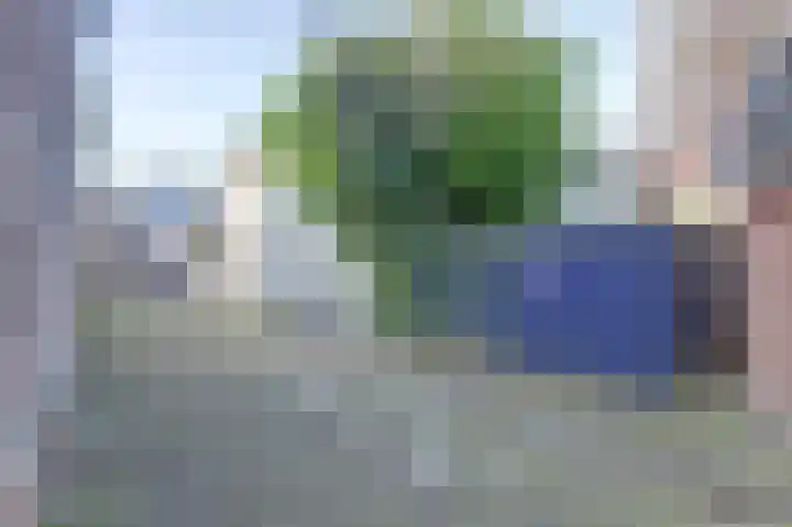 Koestraat 6 Vianen thumbnail 5