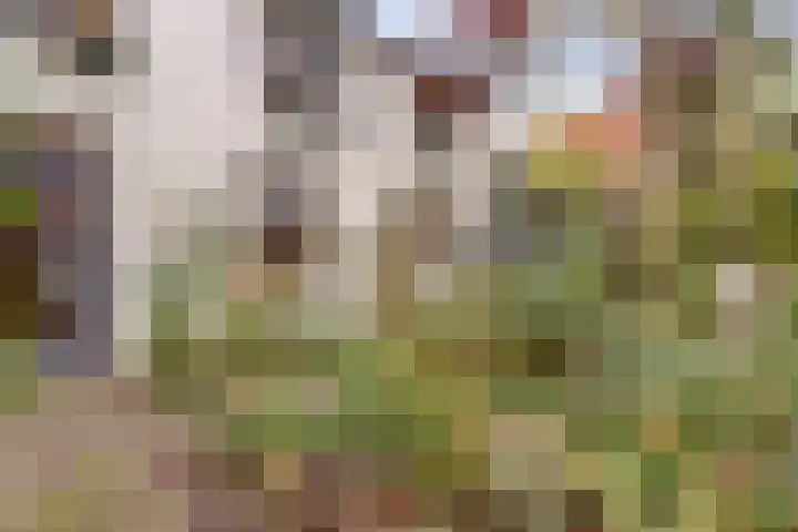 Koestraat 6 Vianen thumbnail 51