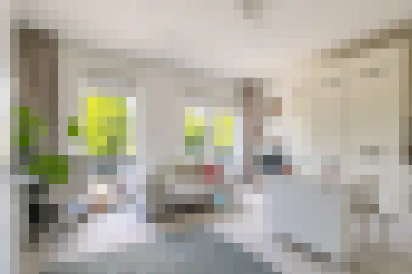Koestraat 67 12 Tilburg thumbnail 12