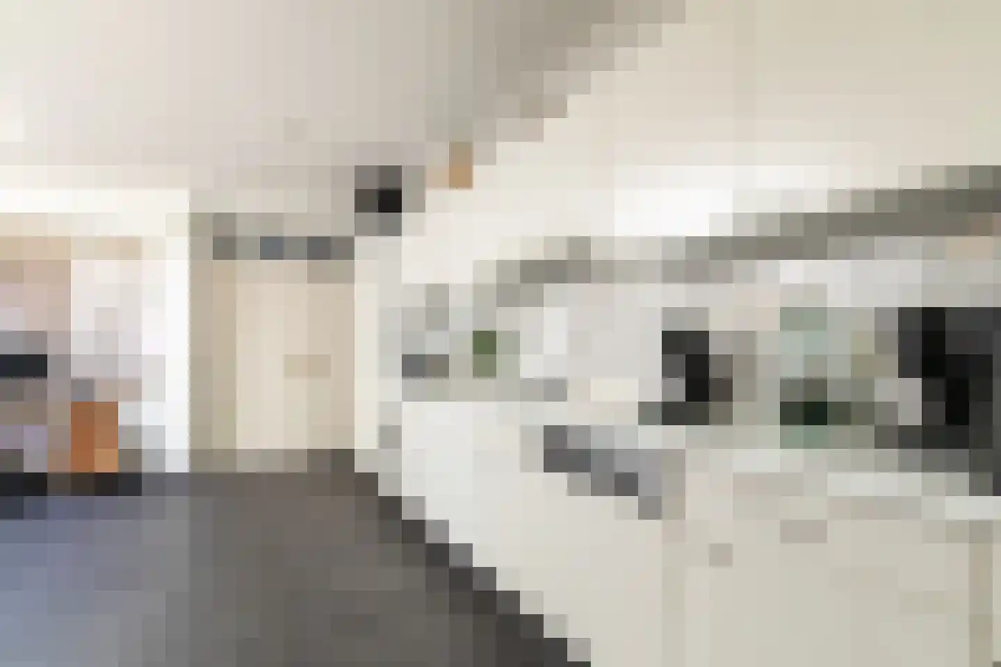 Koestraat 70 Tilburg thumbnail 18