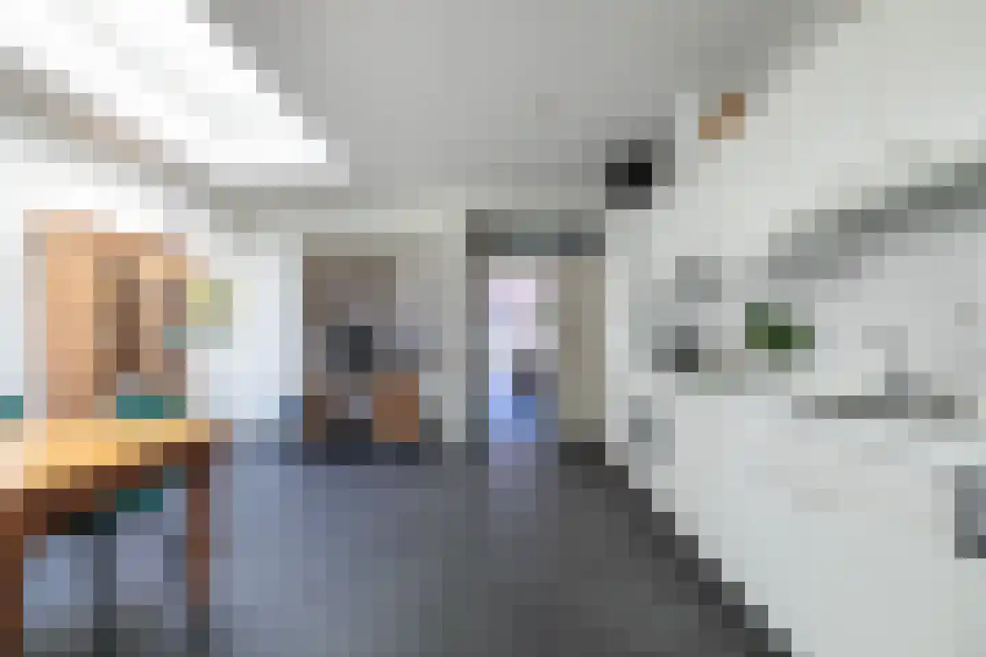 Koestraat 70 Tilburg thumbnail 21