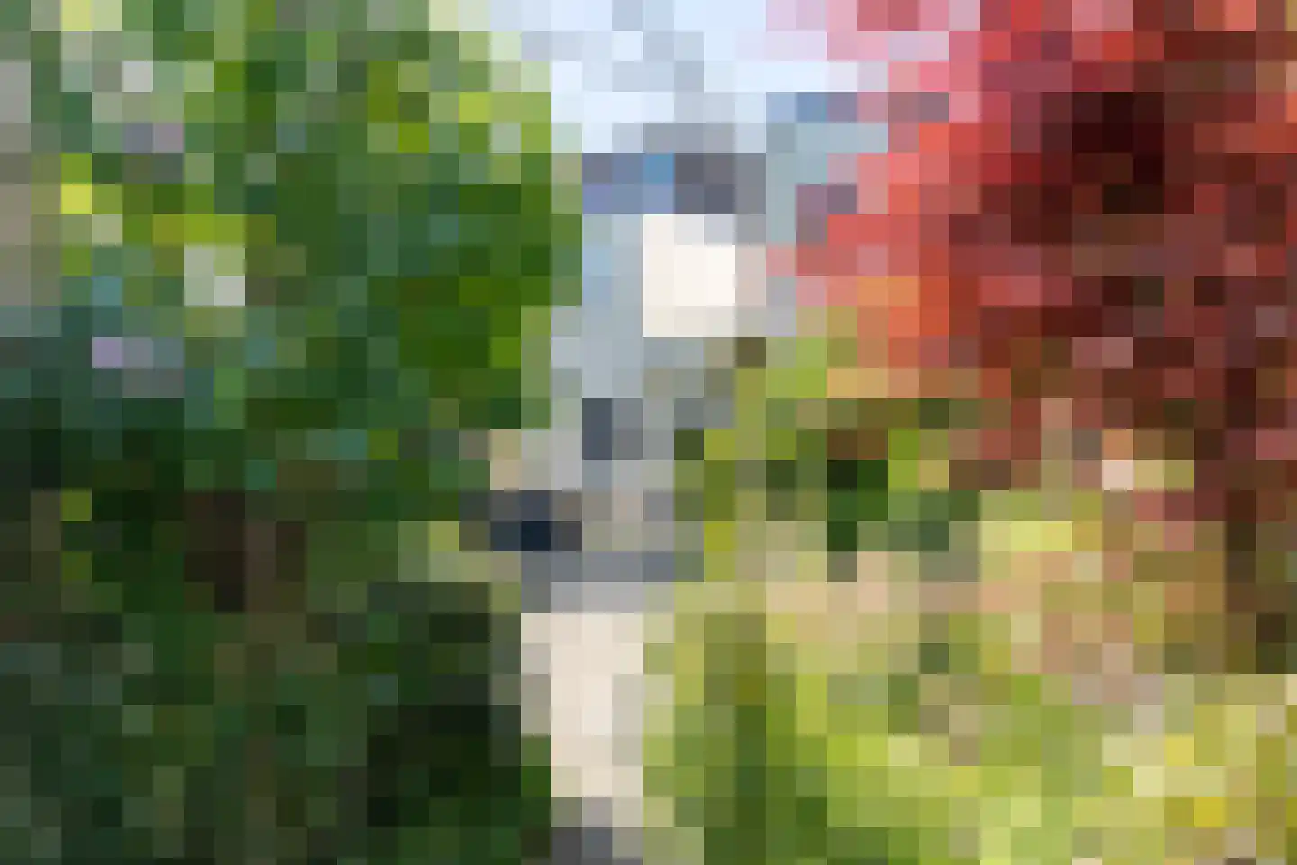Koestraat 70 Tilburg thumbnail 67
