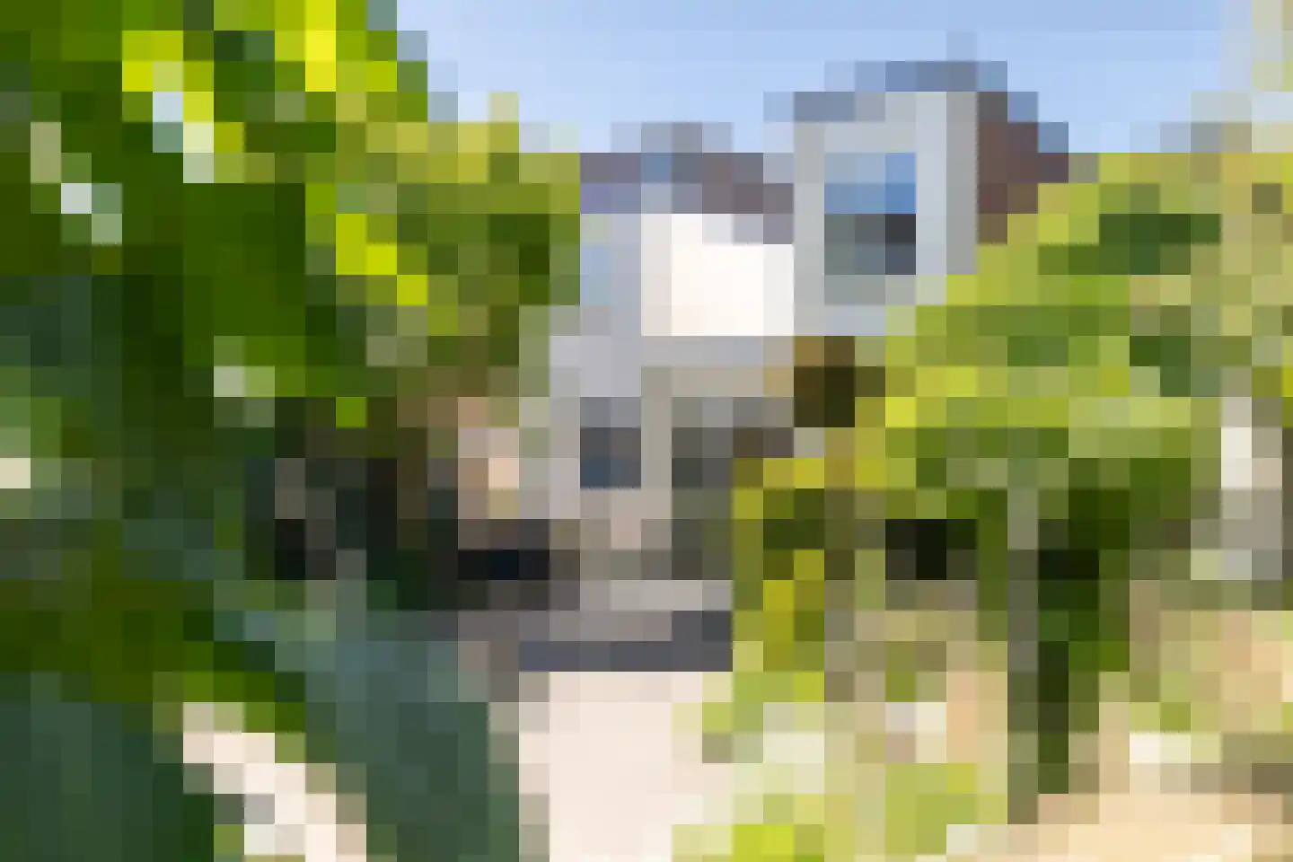 Koestraat 70 Tilburg thumbnail 68