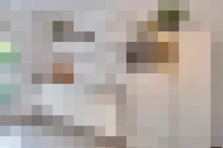 Koestraat 71 's-Hertogenbosch thumbnail 11