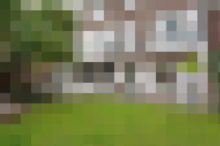 Koestraat 71 's-Hertogenbosch thumbnail 18