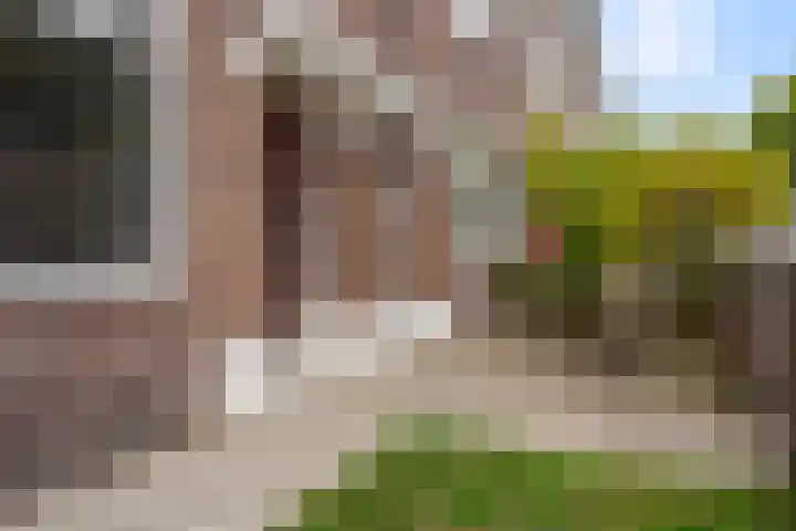 Koestraat 71 's-Hertogenbosch thumbnail 36