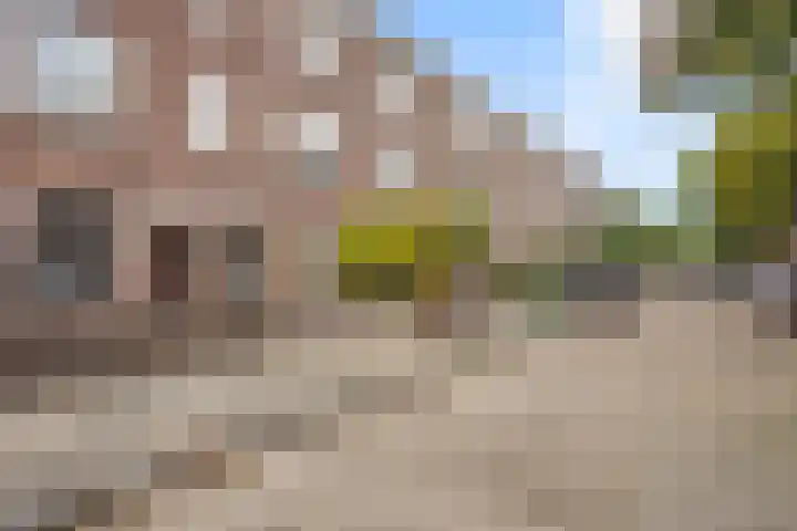 Koestraat 71 's-Hertogenbosch thumbnail 38