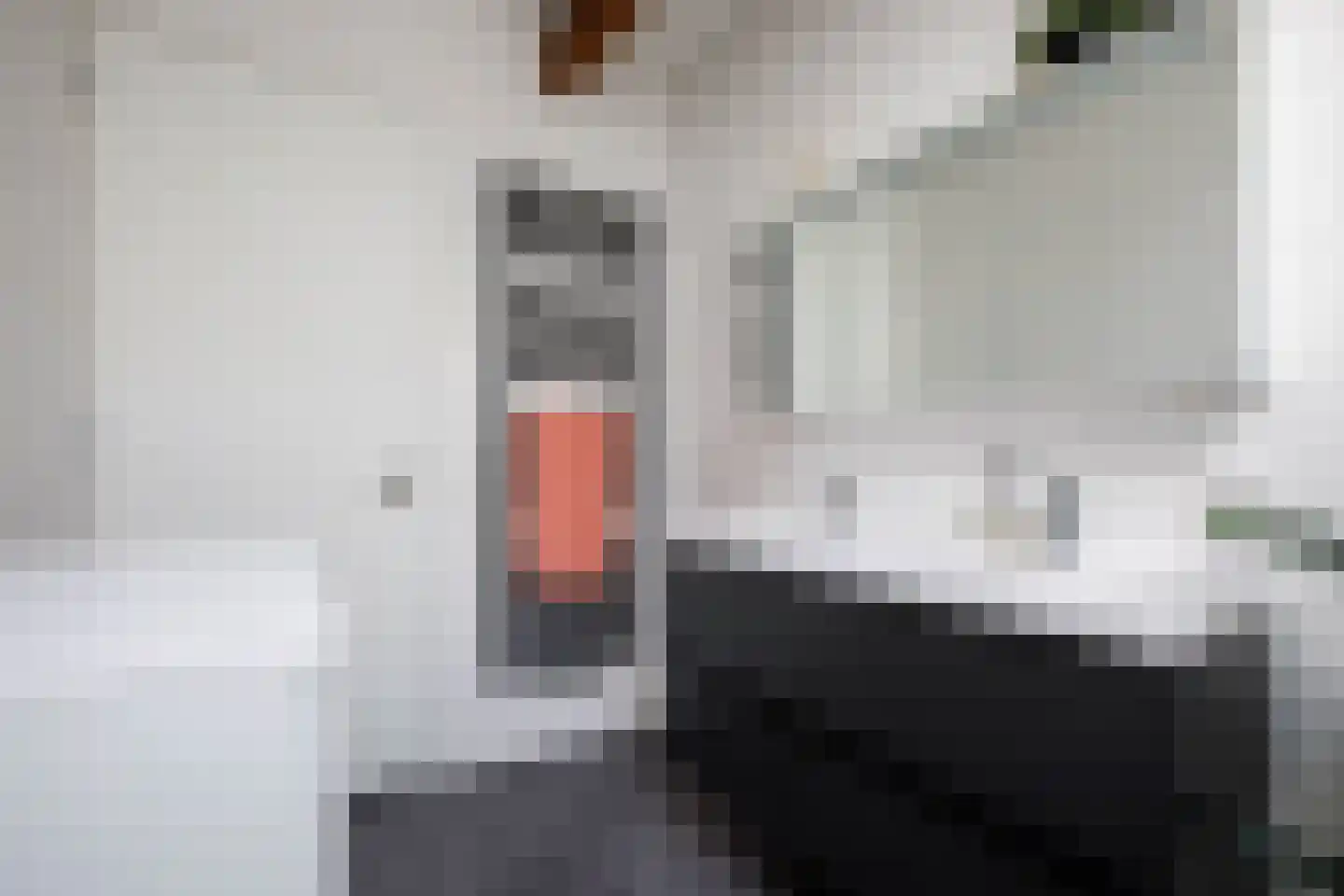 Koestraat 72 d Schoonhoven thumbnail 23