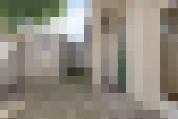 Koestraat 77 's-Hertogenbosch thumbnail 18