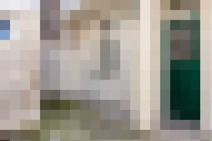 Koestraat 77 's-Hertogenbosch thumbnail 20