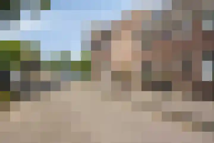 Koestraat 77 's-Hertogenbosch thumbnail 21