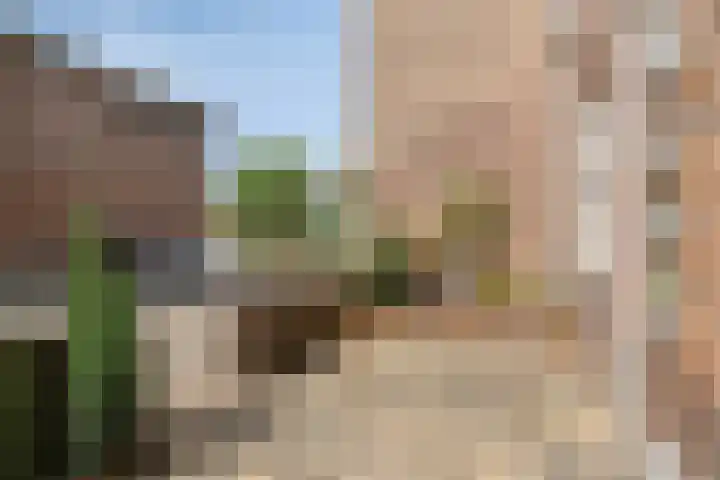 Koestraat 77 's-Hertogenbosch thumbnail 22