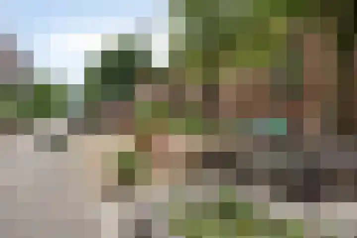 Koestraat 77 's-Hertogenbosch thumbnail 23
