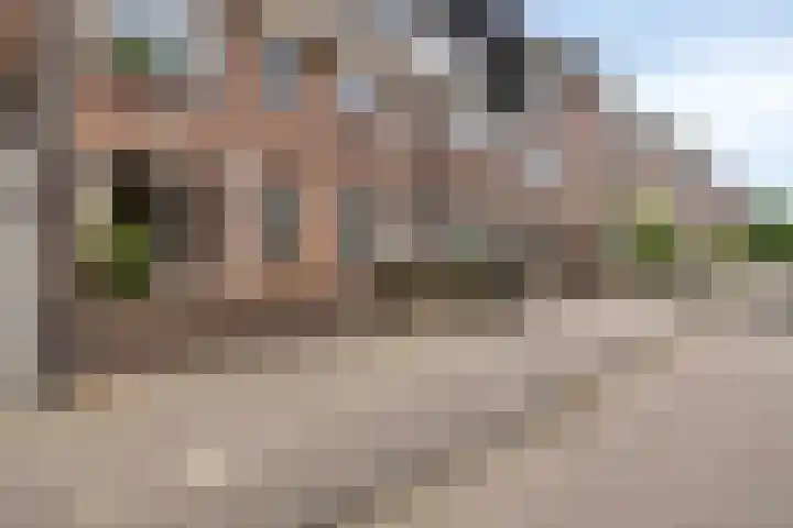 Koestraat 77 's-Hertogenbosch thumbnail 25