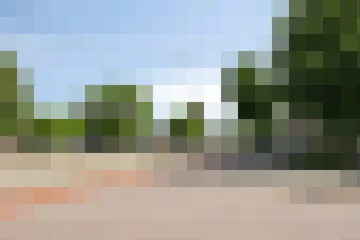 Koestraat 77 's-Hertogenbosch thumbnail 27