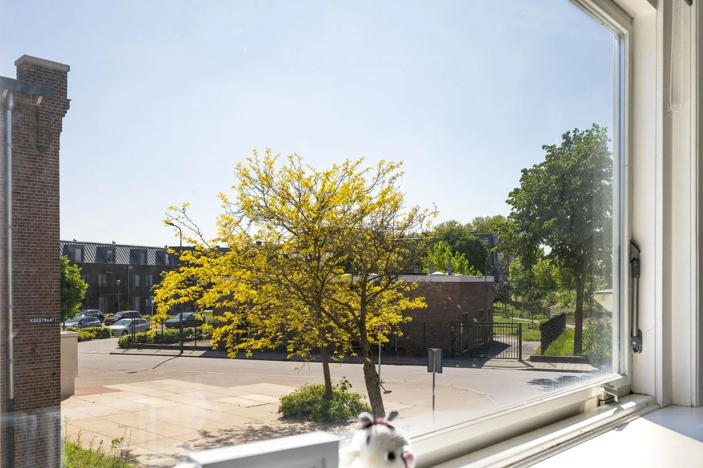 Koestraat 79 's-Hertogenbosch thumbnail 11
