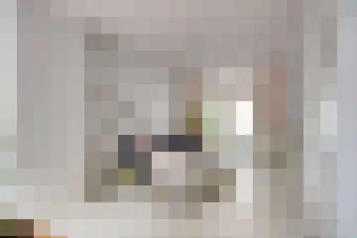 Koestraat 81 's-Hertogenbosch thumbnail 8
