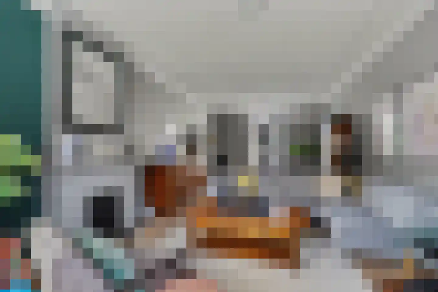 Koestraat 85 Geertruidenberg thumbnail 10