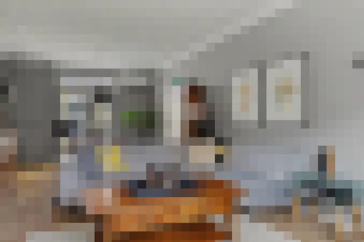 Koestraat 85 Geertruidenberg thumbnail 11
