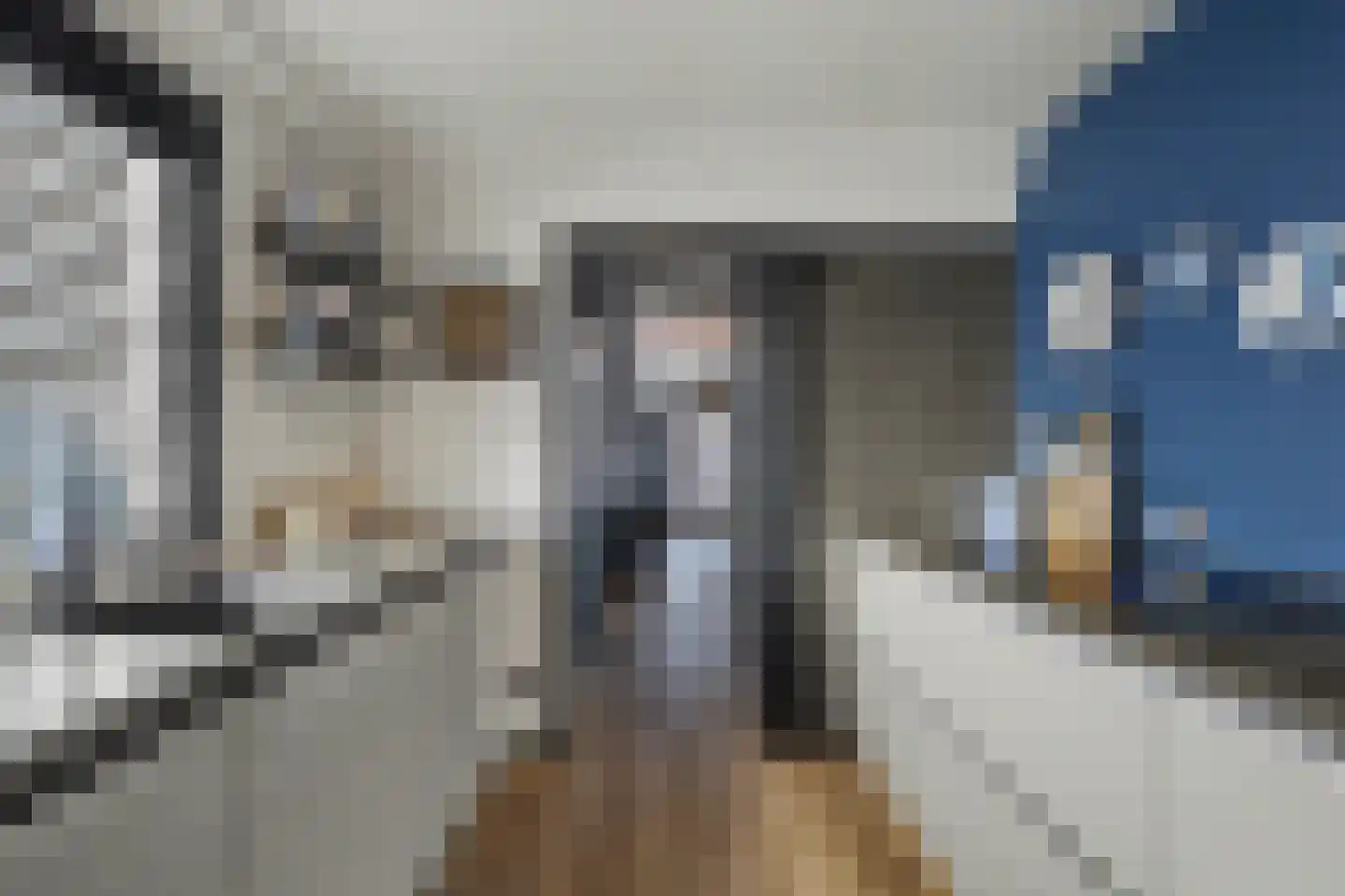 Koestraat 85 Geertruidenberg thumbnail 17