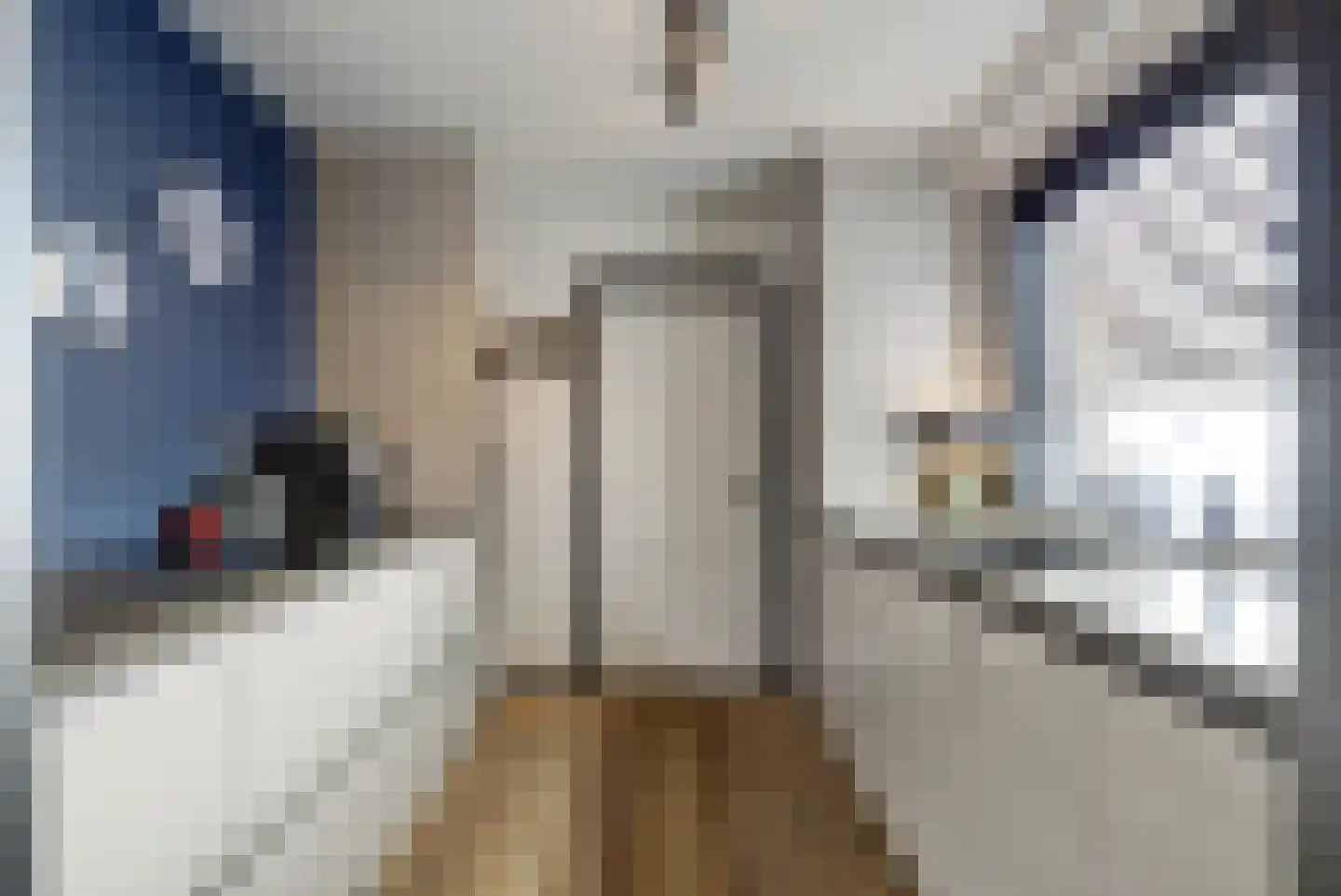 Koestraat 85 Geertruidenberg thumbnail 18