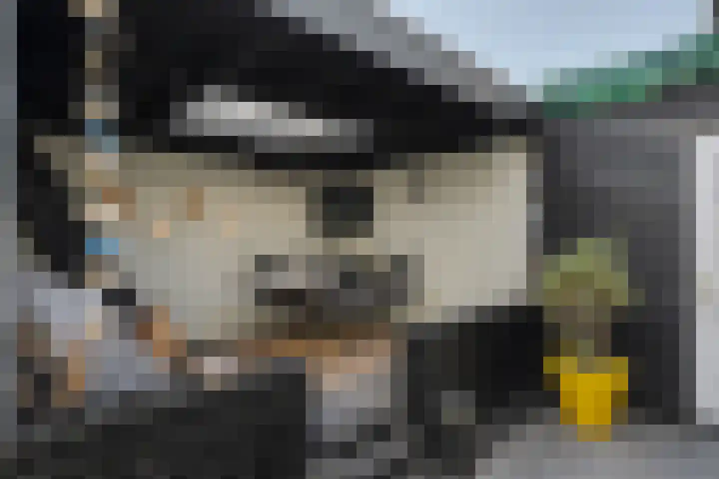 Koestraat 85 Geertruidenberg thumbnail 27