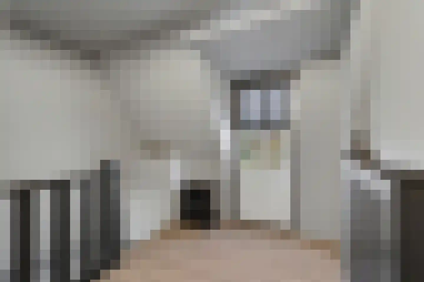 Koestraat 85 Geertruidenberg thumbnail 31