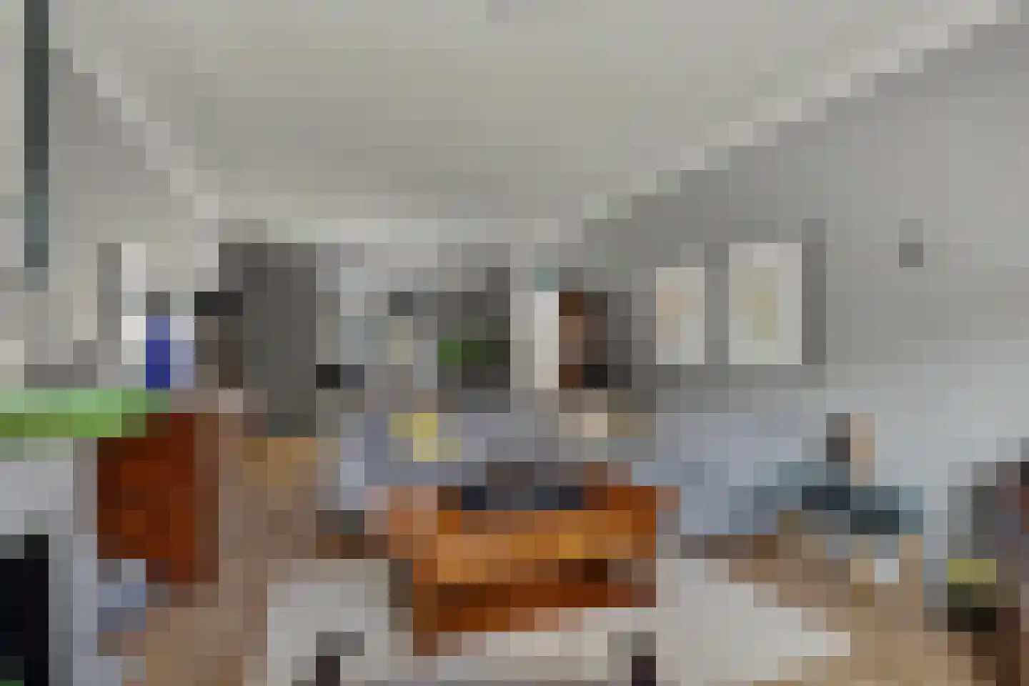 Koestraat 85 Geertruidenberg thumbnail 9