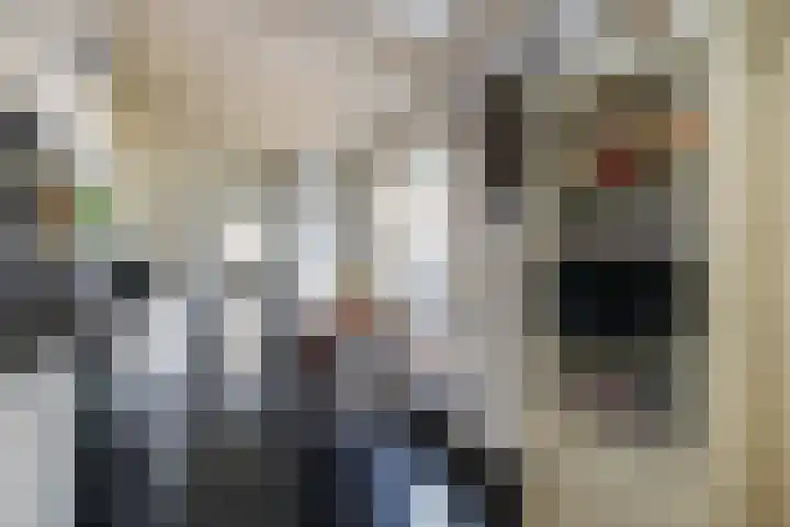 Koestraat 87 Schoonhoven thumbnail 20