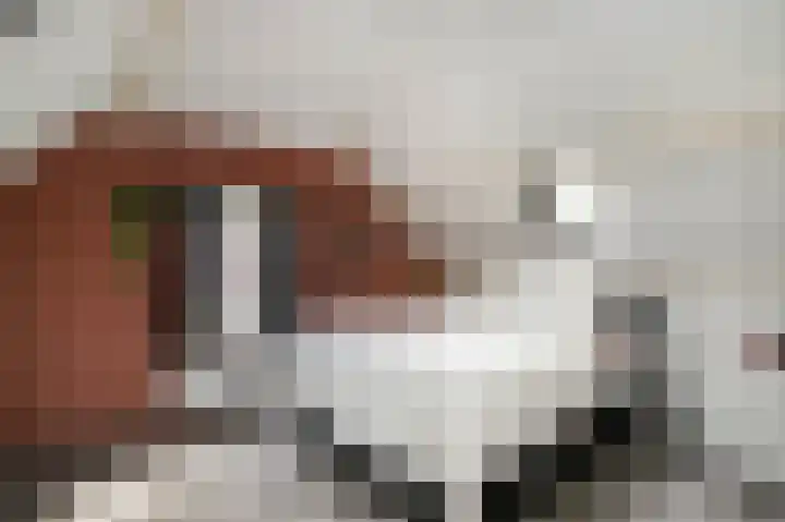 Koestraat 87 Schoonhoven thumbnail 31