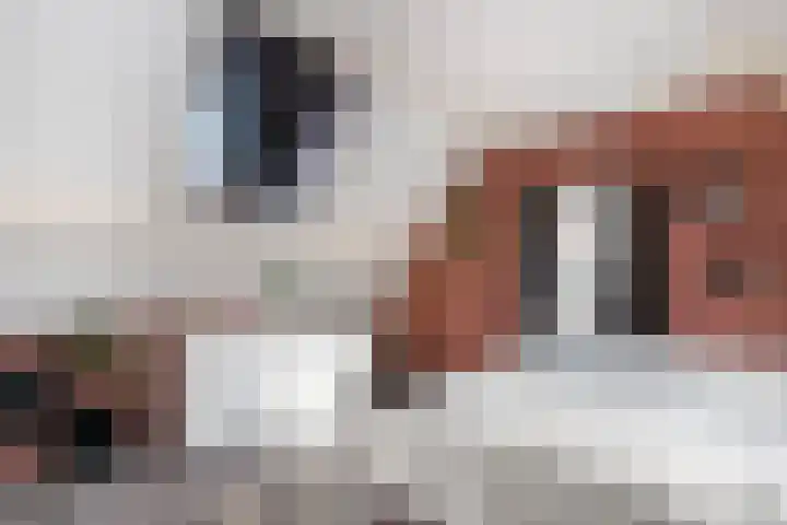 Koestraat 87 Schoonhoven thumbnail 32