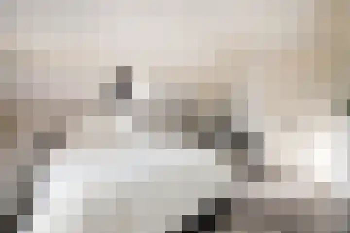 Koestraat 87 Schoonhoven thumbnail 33