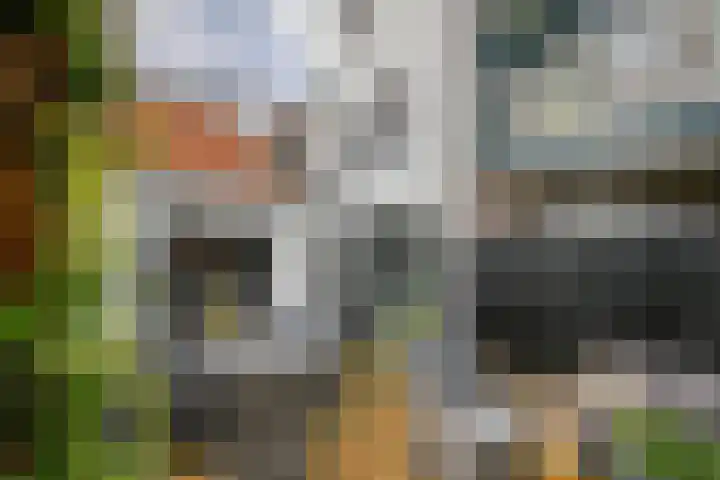 Koestraat 87 Schoonhoven thumbnail 39