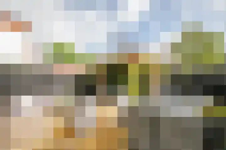 Koestraat 87 Schoonhoven thumbnail 4