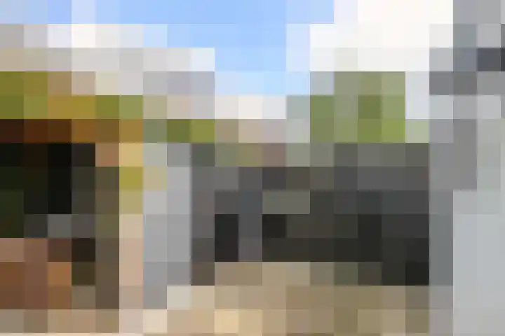 Koestraat 87 Schoonhoven thumbnail 41