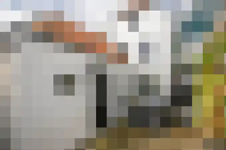 Koestraat 87 Schoonhoven thumbnail 7