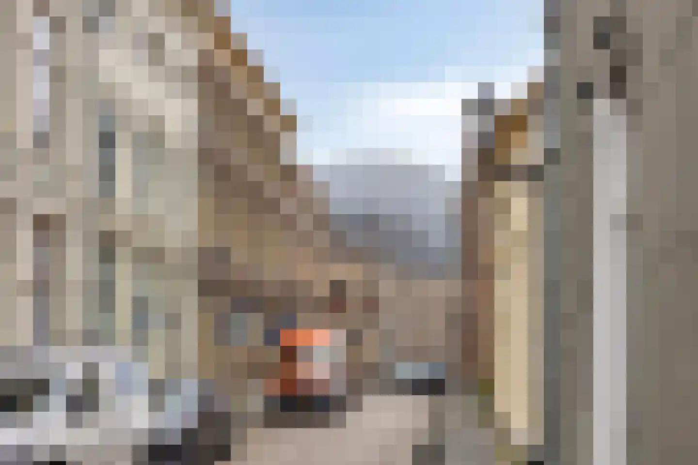 Koestraat 9 A Zwolle thumbnail 27