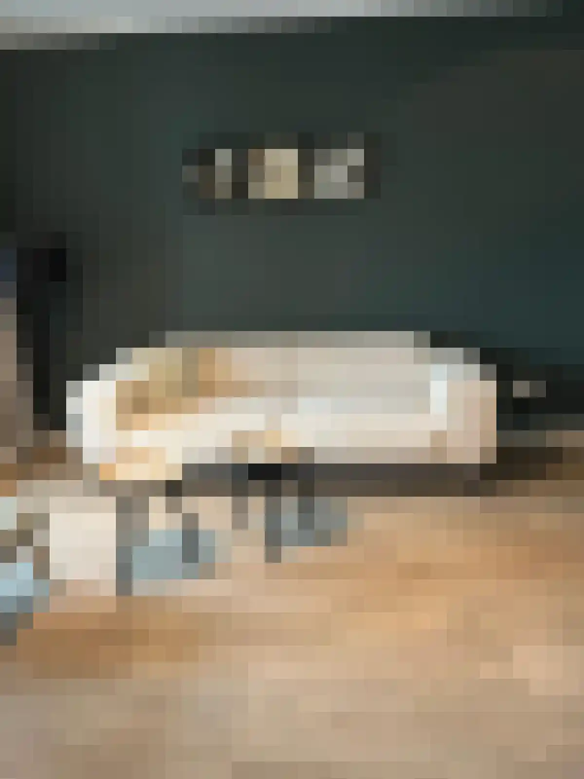 Koestraat 9 Arcen thumbnail 4