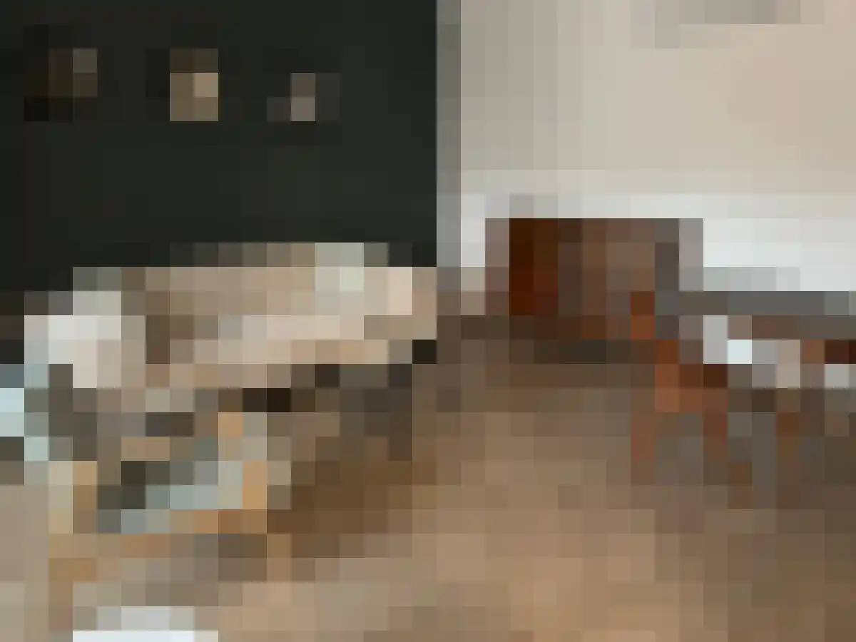 Koestraat 9 Arcen thumbnail 5