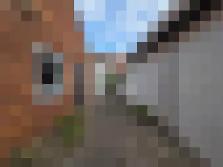 Koestraat 9 Westkapelle thumbnail 39