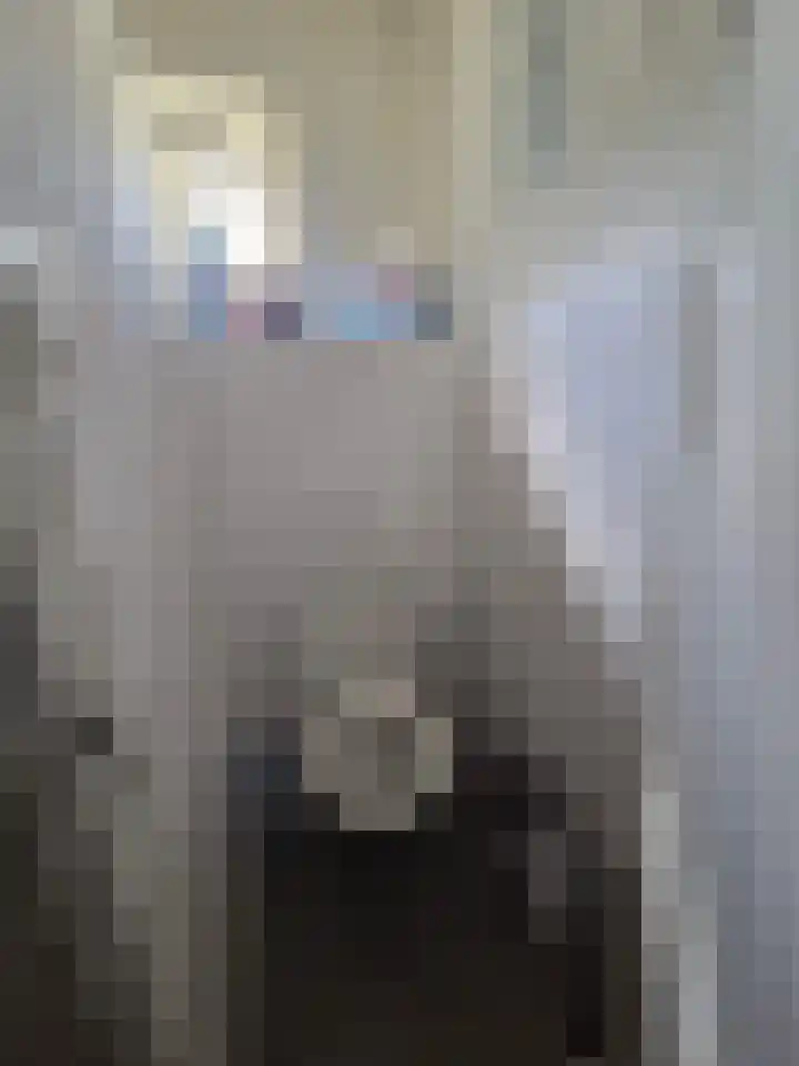 Koestraat 9 Westkapelle thumbnail 9