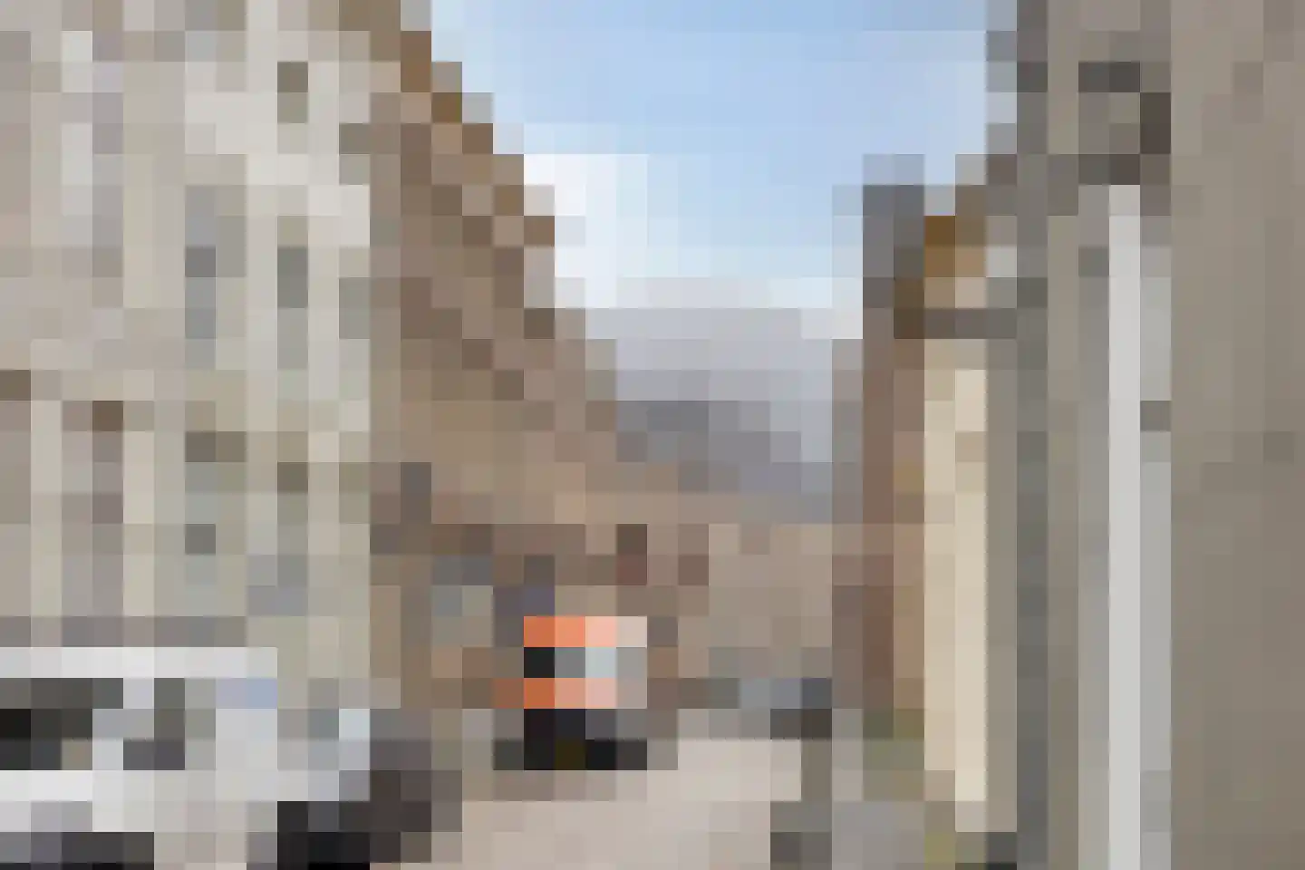 Koestraat 9 Zwolle thumbnail 32