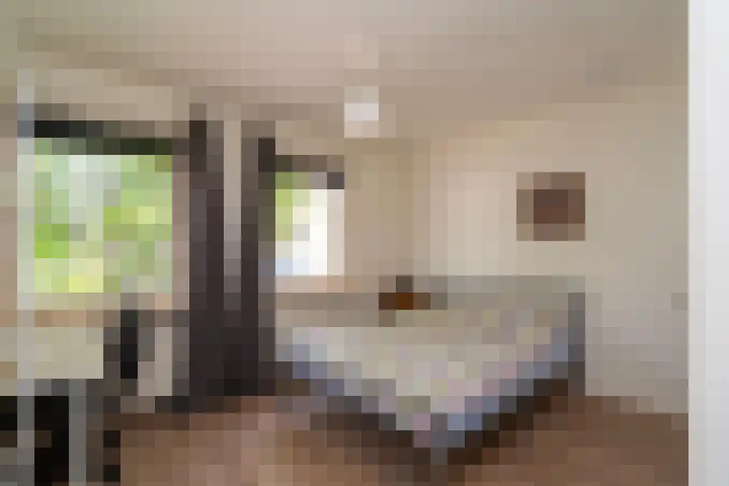 Koestraat 90 Tilburg thumbnail 30