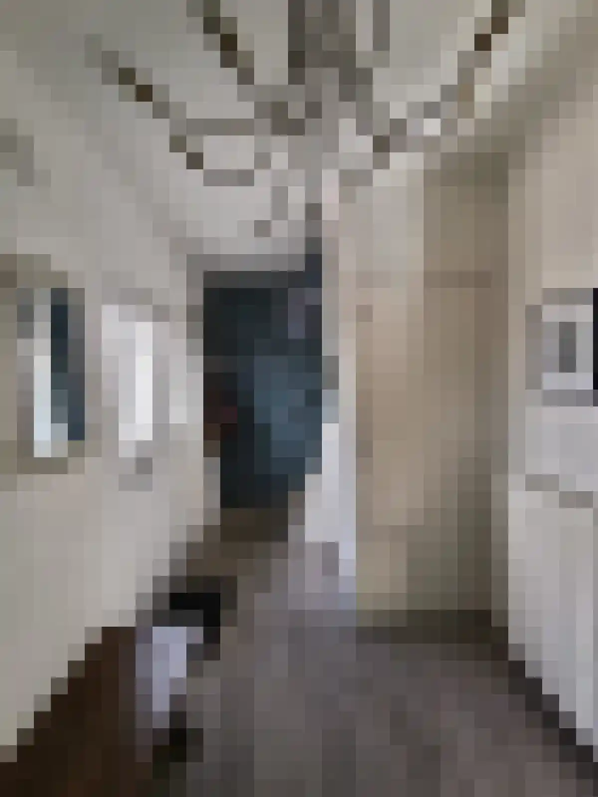 Koestraat 90 Tilburg thumbnail 8