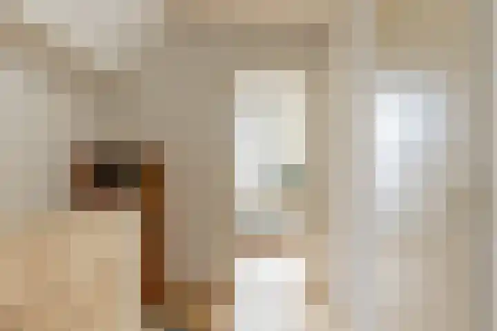 Koestraat 91 Schoonhoven thumbnail 23