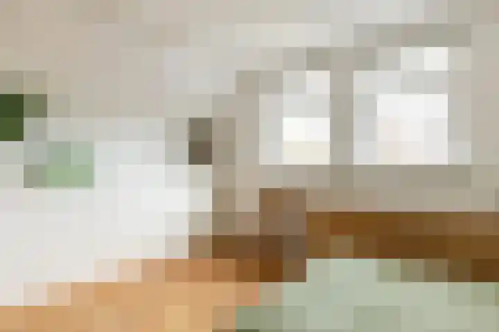 Koestraat 91 Schoonhoven thumbnail 27